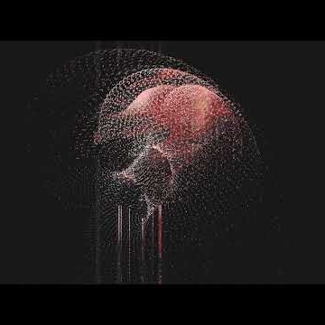 Preview image for the video "Audio-generated visual reel".