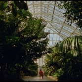 Preview image for the video "Plinio - Bachianina No. 2".