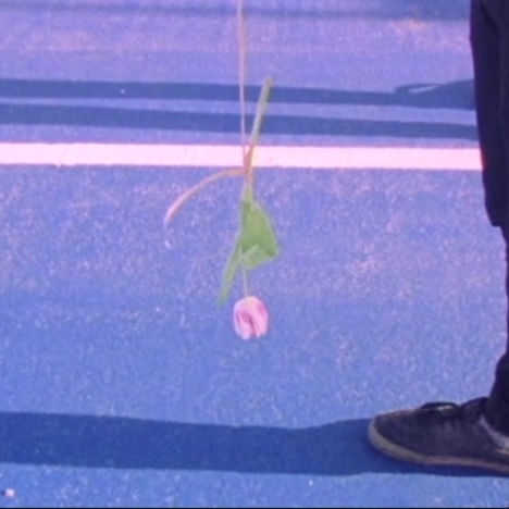 Preview image for the video "urban oasis".