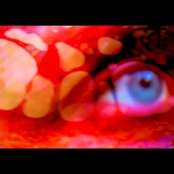 Preview image for the video "Music video for The Evil Litter by pf_photographer".