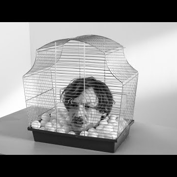 Preview image for the video "Tüsn".