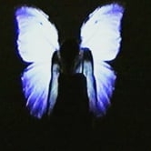 Preview image for the video "Bearcraft - Morning Snow [Official Music Video]".