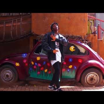 Preview image for the video "Forest Drive- Jax Colorado".