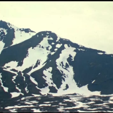 Preview image for the video "Video".