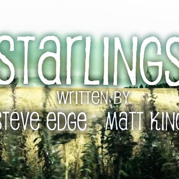 Preview image for the video "Starlings - title sequence".