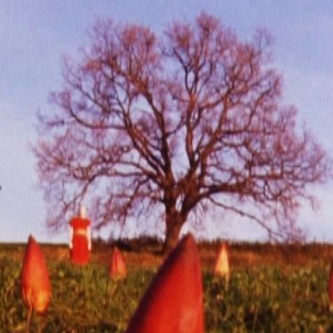 Preview image for the video "Knots".