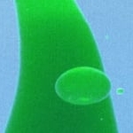 Preview image for the video "What Kinda Music single artwork social videos".