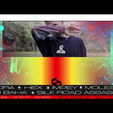 Preview image for the video "Circadian Rhythms Website".