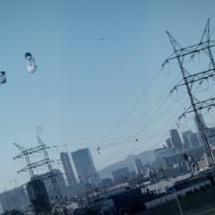 Preview image for the video "Film for  by Patrick Wilcox".