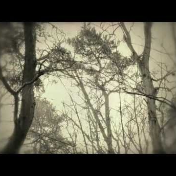 Preview image for the video "Music video for  by Marie Alpe".