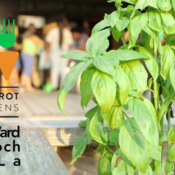 Preview image for the video "The Garden".