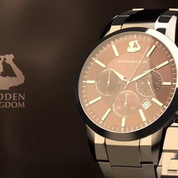 Preview image for the video "Hidden Watch ".