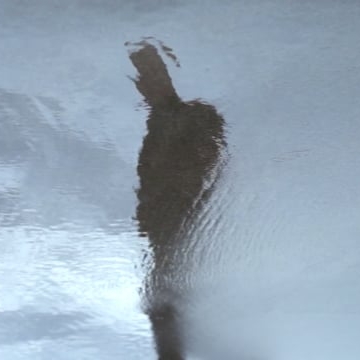 Preview image for the video "Erland Cooper - Haar [official video]".