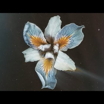 Preview image for the video "Tor - Oasis Sky - Album Artwork Visualiser".