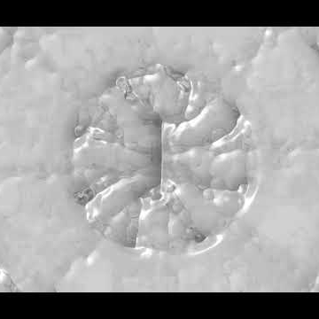 Preview image for the video "PROMO [AUDIO VISUALISER]".