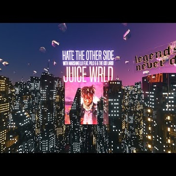 Preview image for the video "Hate The Other Side".