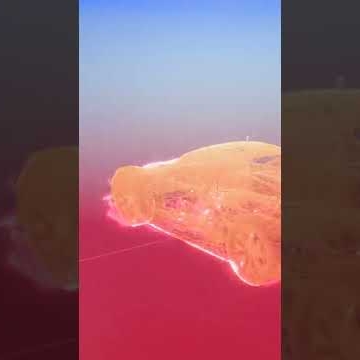 Preview image for the video "4D Augmented + Mixed Reality PORSCHE RSR".