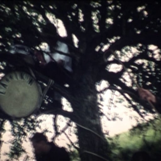 Preview image for the video "Music video for Larrikin Love by jmarcantonio".