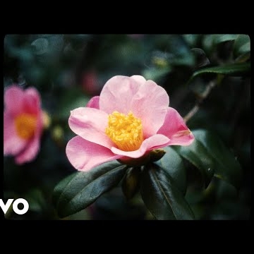 Preview image for the video "As Sylvie Was Walking".