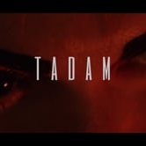 Preview image for the video "Charlotte Street Project".