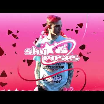 Preview image for the video "Sky Roses - More Time".