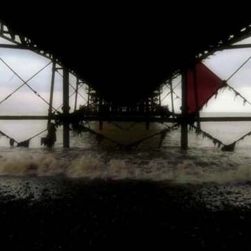 Preview image for the video "Unfledged".