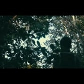 Preview image for the video "Director's Cut Pain ".