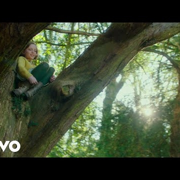 Preview image for the video "YouTube".