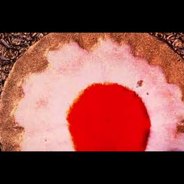 Preview image for the video "Music Video - Landshapes - Rosemary".