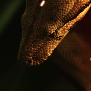 Preview image for the video "Music video for Jay Prince by Patrick Wilcox".