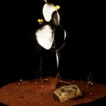 Preview image for the video "Desert Reflection".