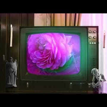 Preview image for the video "Pinguin Mofex Lyric Video".