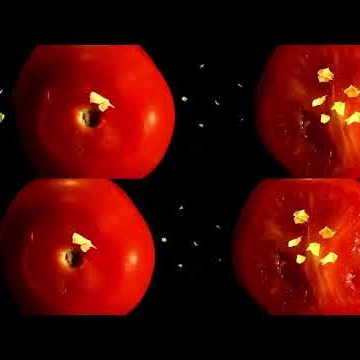 Preview image for the video "Wishmounain Live, Dekmantel 2023".