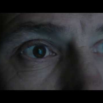 Preview image for the video "The Sapling".