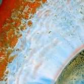 Preview image for the video "Gong Meditation Series - Sun".