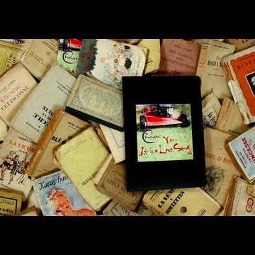 Preview image for the video "The Cheek of Her - It's a love song".