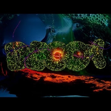 Preview image for the video "Decoy Ribbit ".