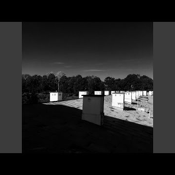 Preview image for the video "Najel Monteiro - Synnabel Lectus EP".