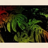 Preview image for the video "Become a Mountain - Dan Deacon".