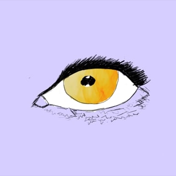 Preview image for the video "Big Wild Animations".