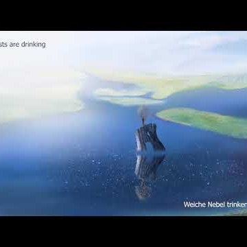 Preview image for the video "Auf dem See".