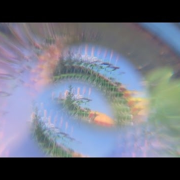 Preview image for the video "Laura Weider - Spring Ins Feld Music Video".