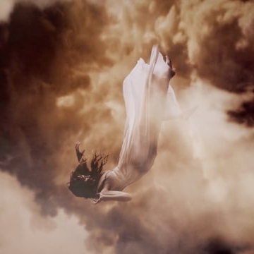 Preview image for the video "The Fall".