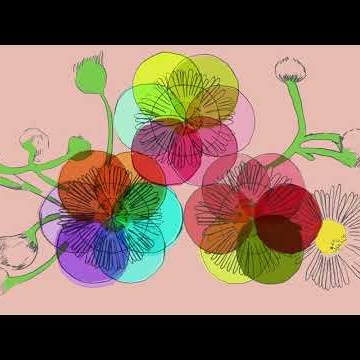 Preview image for the video "The world is not your toilet sir' by Barry the band".