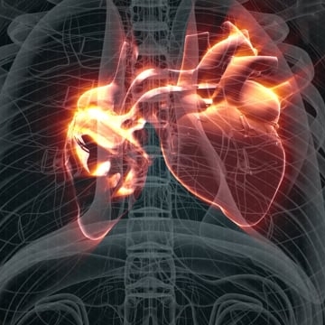 Preview image for the video "Incredible Medicine: Dr Weston's Casebook".