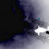 Preview image for the video "Th eTwentieth".