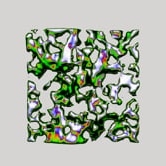 Preview image for the video "Elevate Festival 2020 – Art Direction & Animation".