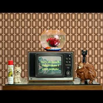 Preview image for the video "Creative direction for Matt Maltese by andy_renton".