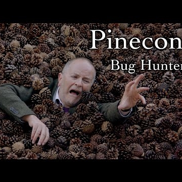 Preview image for the video "Video".