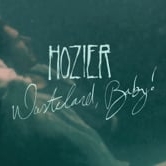 Preview image for the video "Hozier - Wasteland Baby! Album advert".